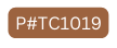 P TC1019