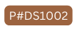 P DS1002