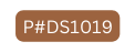 P DS1019