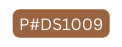 P DS1009