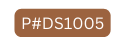 P DS1005