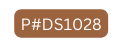 P DS1028