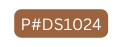 P DS1024