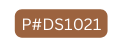 P DS1021