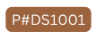 P DS1001