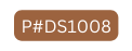 P DS1008