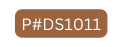 P DS1011