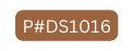 P DS1016