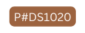 P DS1020