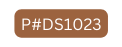 P DS1023