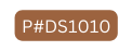 P DS1010