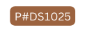 P DS1025