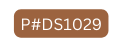 P DS1029