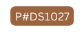 P DS1027