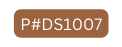 P DS1007