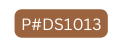 P DS1013