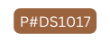 P DS1017