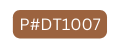 P DT1007