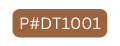 P DT1001