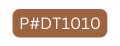 P DT1010