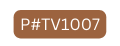 P TV1007