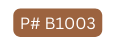 P B1003