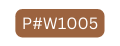 P W1005