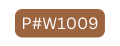 P W1009