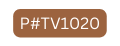 P TV1020