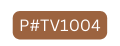 P TV1004