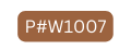 P W1007