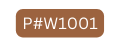 P W1001