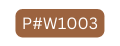 P W1003