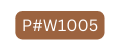 P W1005