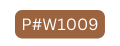 P W1009